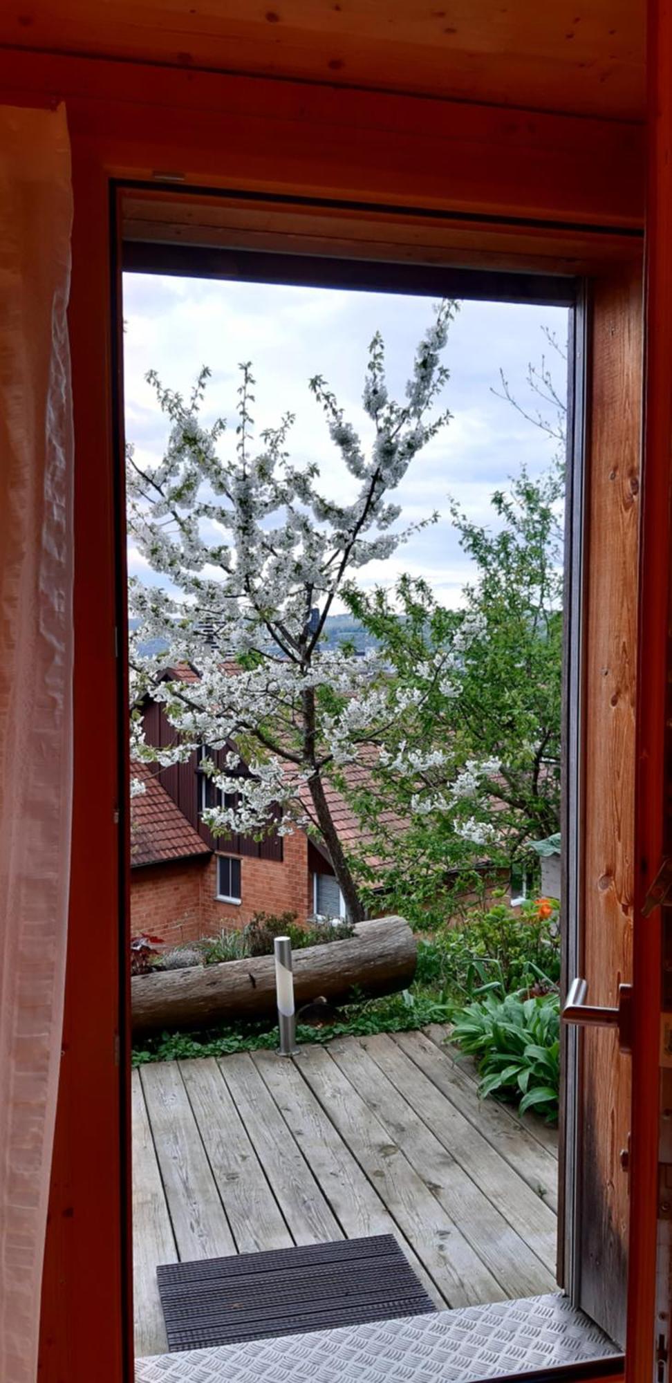 B&B Sunnesite Pratteln Exterior foto